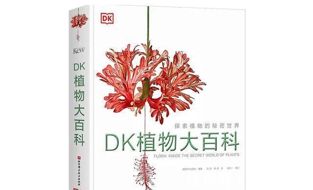 恐龙世界@DK图书大盘点第一季:少儿百科类