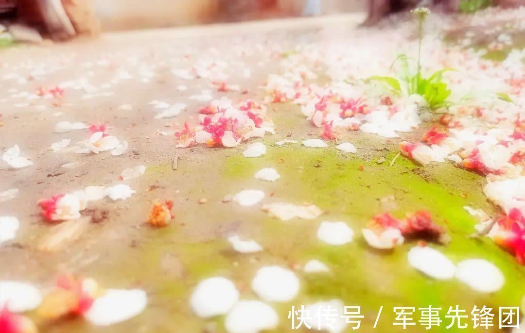 张先#送走心爱的侍女后,他写了首宋词,中间两句让人想哭,成网络金句