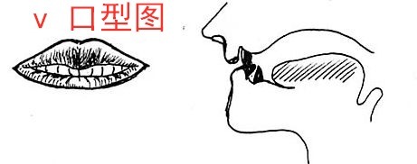 摩擦音v发音方法 不用国际音标准确朗读英语 一个句型造句 快资讯