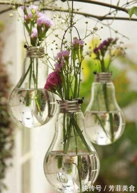 邻居|把灯泡拿去养花,挂在阳台上太好看了!真的太佩服邻居的脑洞
