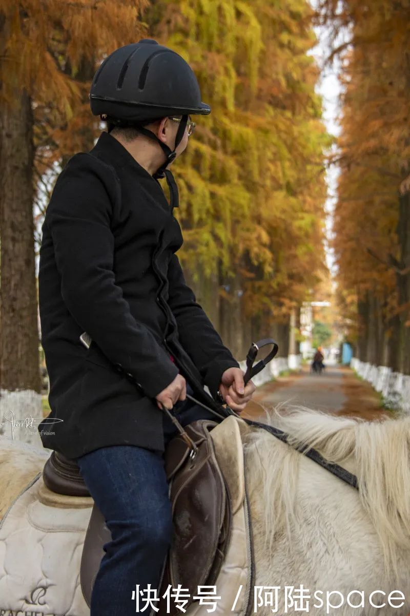 骑马|想体验骑马不一定要去内蒙古，在嘉兴南北湖就可以圆这个梦