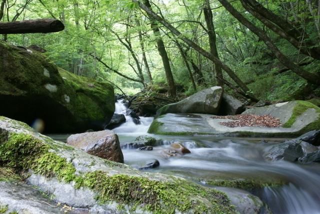 安康又一景区走红，是4A景区，门票仅80元，当地人：黑老扒