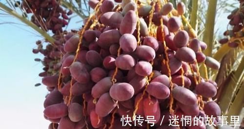 养生|预防疾病发生,离不开养生食物,细腻肌肤,滋阴润燥,更显气色好