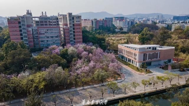 好家伙，这是什么偶像剧大学啊……