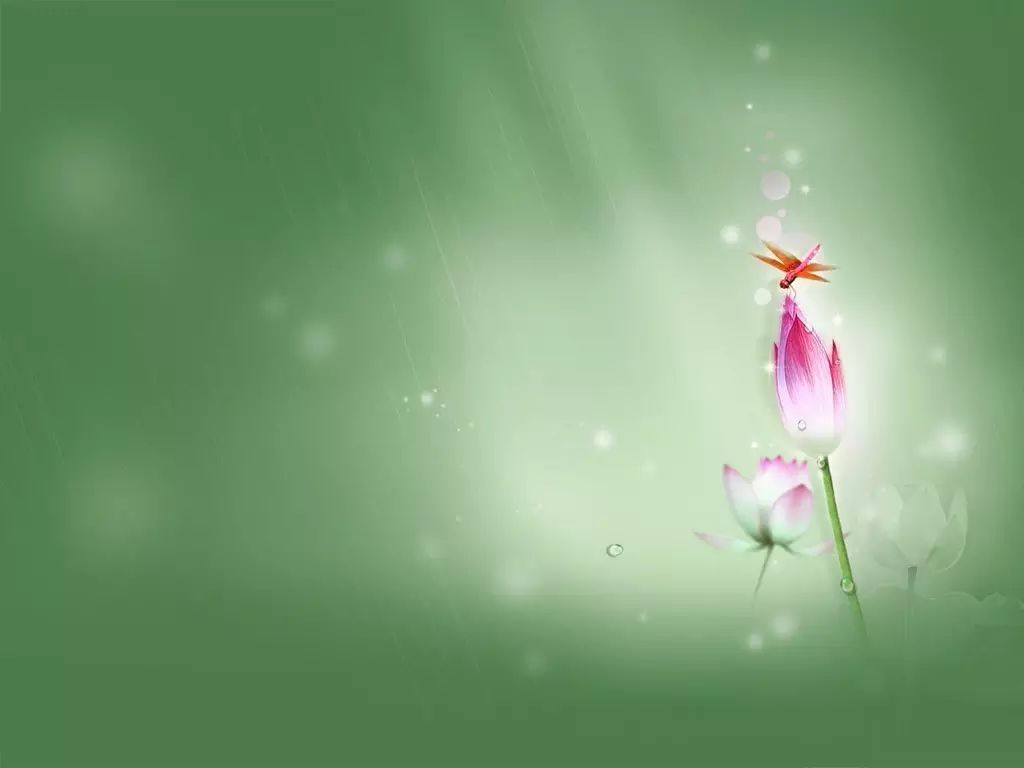 最疼女儿的前五名星座老爸