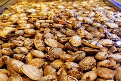 健康|这5类食材自带“毒素”，炒之前必须焯水，为了家人健康，要牢记