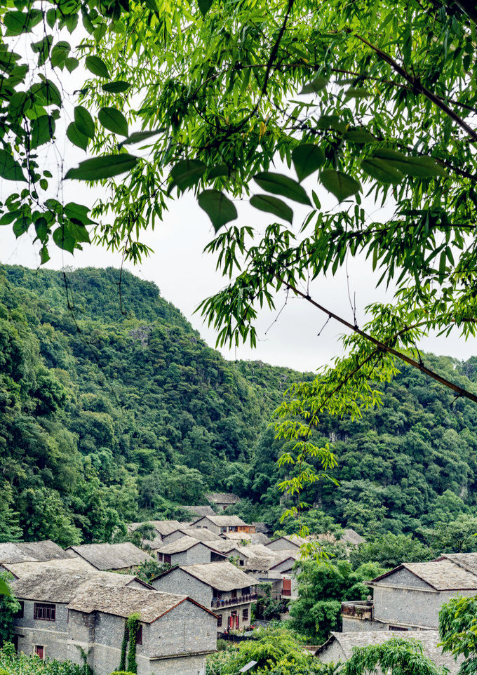 奥迪q8|#一汽-大众揽境#探寻千年布依古寨高荡村