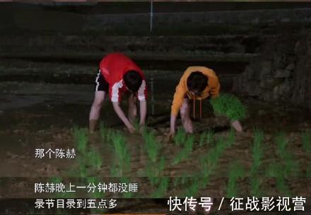 英語|好吃懶做,偽裝不懂英文卻當過英語導游,陳赫為跑男背了多少鍋?