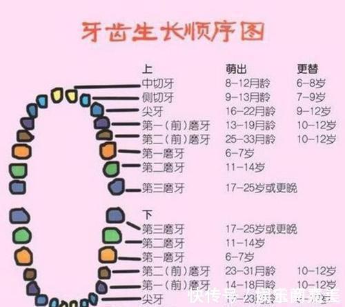 宝妈|长牙期没有这样做,毁掉宝宝一口好牙,宝妈们要注意哦