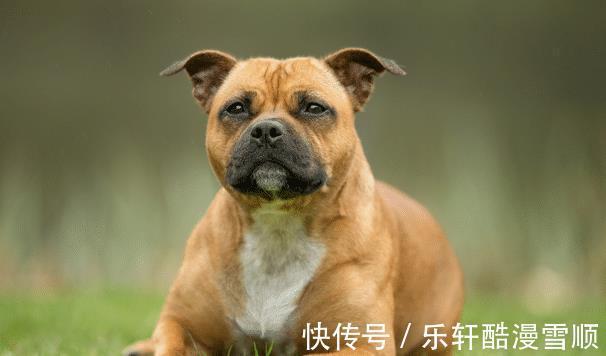 财神爷|一家人有哪些生肖，10月会财神爷点名，人生逆袭，事业前程似锦