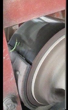 |搞笑GIF:怎么不知道这是啥,但勾起了我生命最初争斗的场景