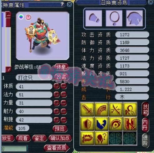 林中鸟|梦幻西游：12技能天女打“林中鸟”兽诀！另一只顶级玩具宠展示！