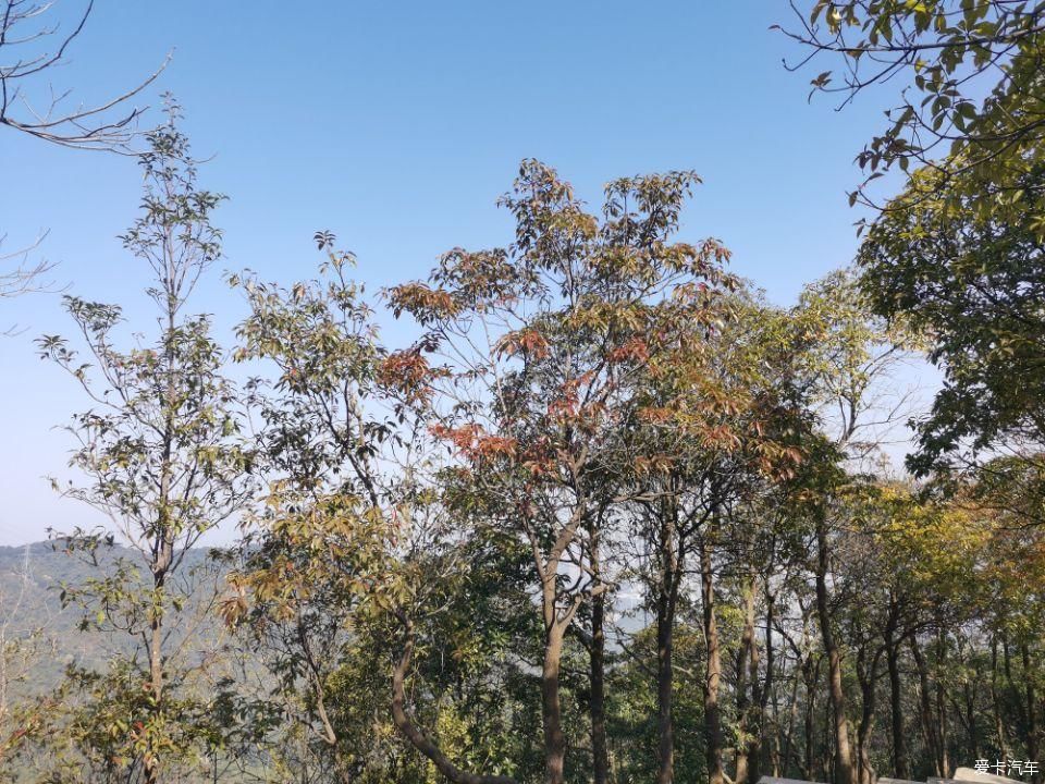 年初四爬阳台山