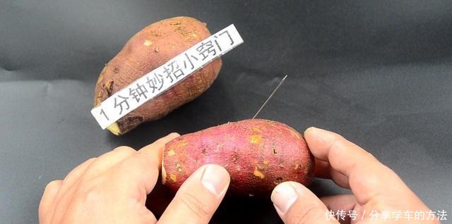 红薯上插一根针,很多人都不懂有啥好处,今天才知道,长见识了!