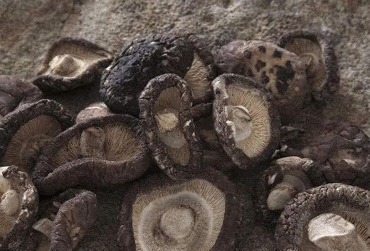 死对头|高血压的“死对头”,坚持每天吃一点,高血压悄悄不见了