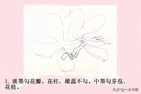 鸳鸯#图文教程——工笔玉兰画法