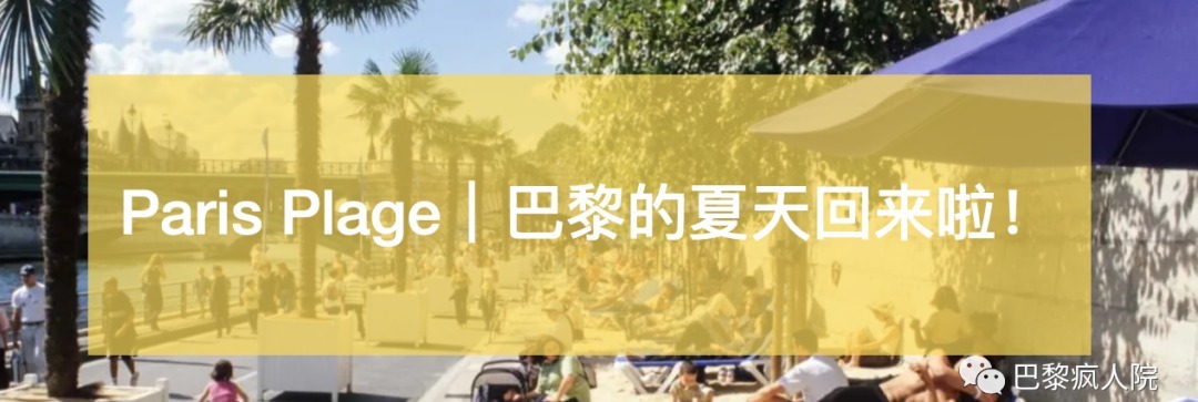 书箱|绿皮小书箱这次真的要消失了?!塞纳河将失去她的灵魂!