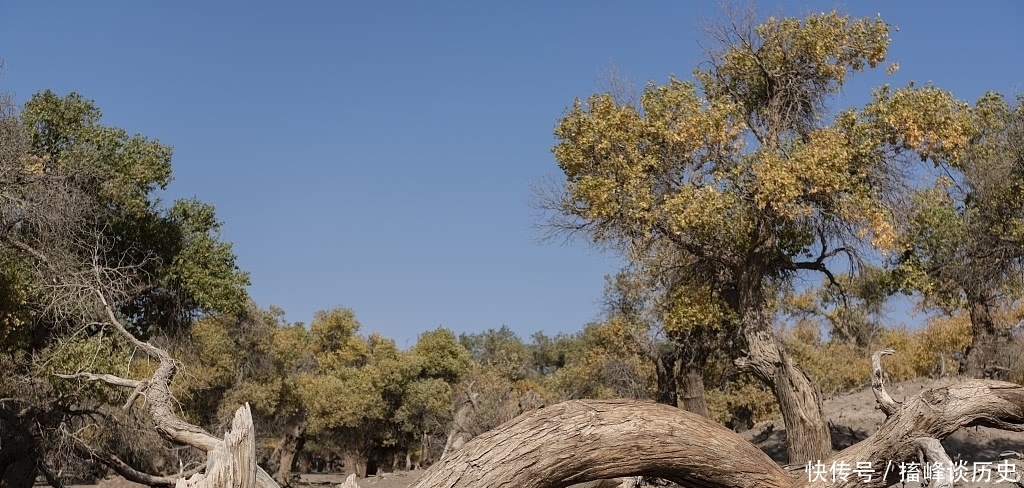 西域大探险时代,不爱文物的美国探险家,埃尔斯沃思·亨廷顿