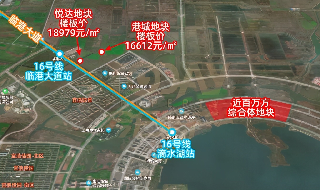 住宅|临港高攀不起了!6盘认购同时触发计分,最高认购率339%!