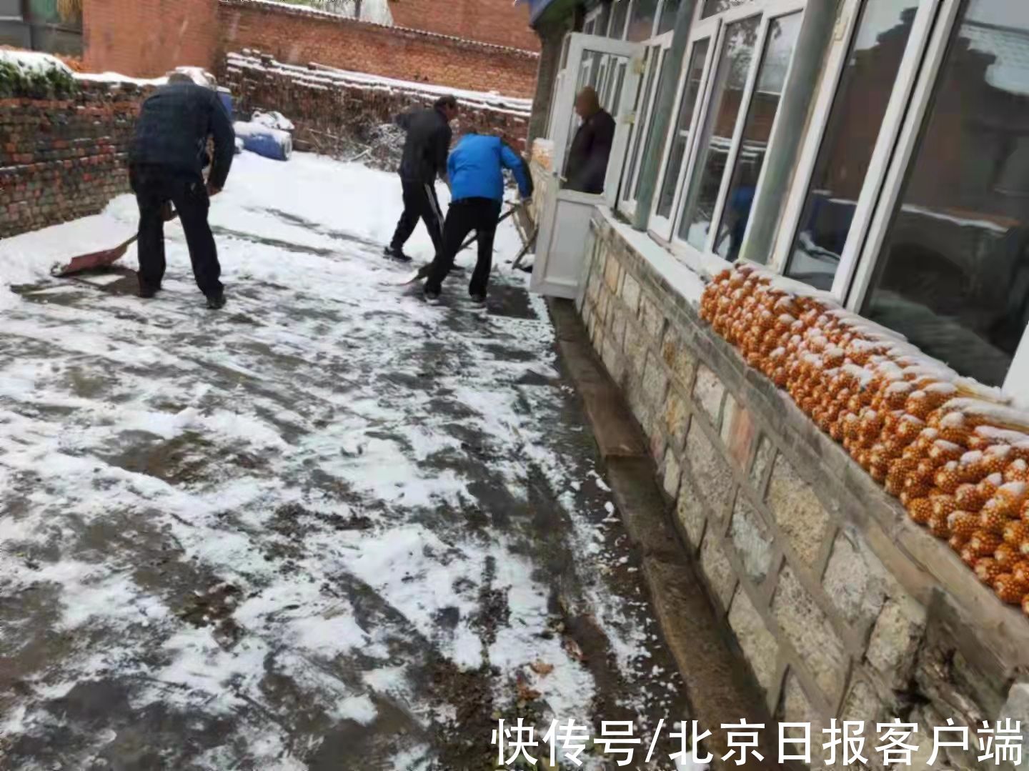 老人|入户送温暖，他们为独居老人清理院中积雪