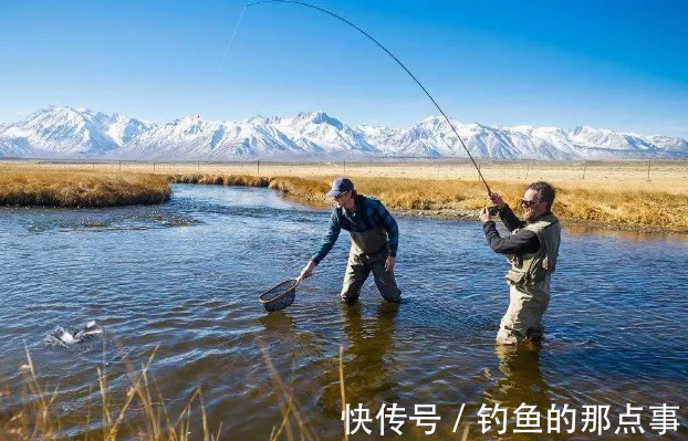 早春|早春钓鲫，钓友记住这4点，保证你一钓一个准，鲫鱼一顿狂拉