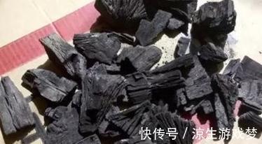 3种垃圾扔花盆，疏松透气，营养高，再也不用担心土壤板结了