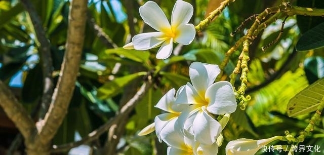 尿酸过高,上厕所时会出现3种表现,若占其中之一,最好检查肾脏