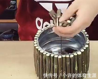 奶粉罐不要扔,拿来养花,比花盆还好看