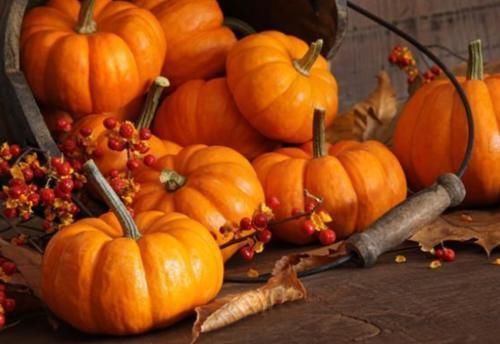 高血糖|高血糖人群,2瓜2果常吃,血糖乖乖“听话”!平稳血糖很简单!