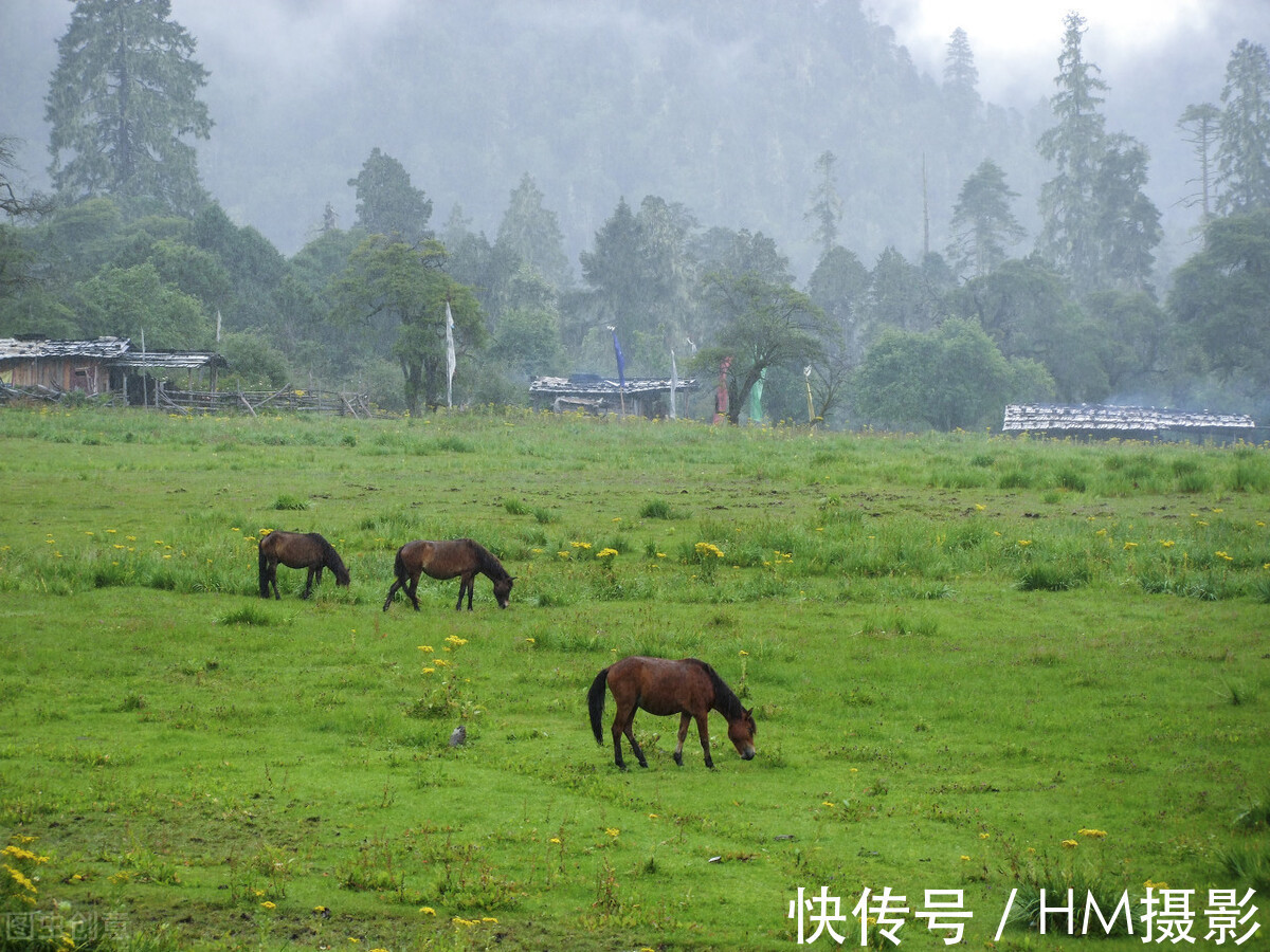 老君山|推荐7个只许中国人进，不对外国人开发的景区，看看你去过几个？