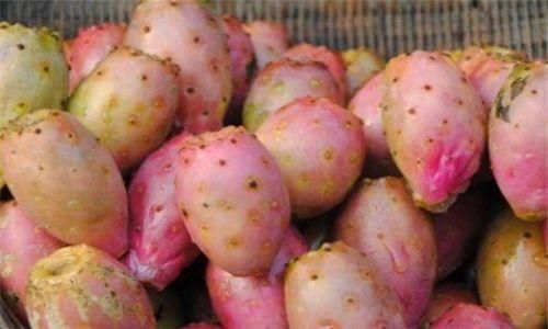 满脸皱纹|女性不想满脸皱纹,可以多吃3种食物,营养丰富,滋润肌肤!