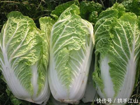 40岁女性多吃3种食物,美容养颜、延缓衰老,爱吃就赚了