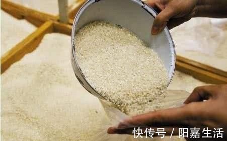 圆粒米|买大米时,该买圆粒米还是长粒米?许多人不明白,原来差别这么大