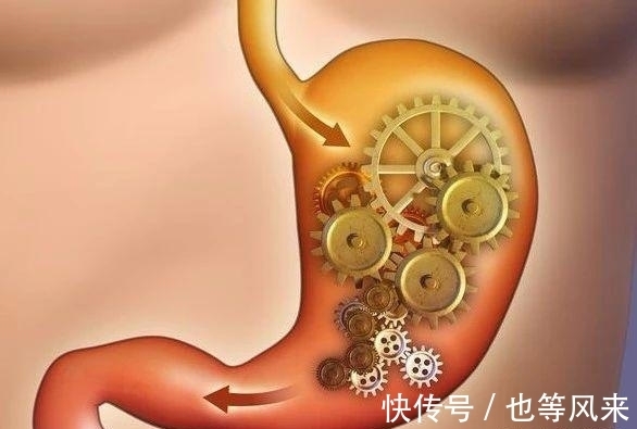 35个冷知识：教科书上不会出现，但却真实存在于世界各地