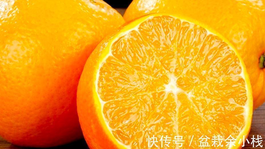 维生素c|秋天女性多吃这8种食物,维C丰富营养高,应季新鲜,价格便宜