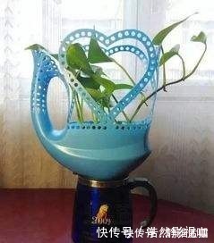 花盆|废弃的洗衣液桶剪两刀，瞬间变身养花神器，铲子花盆钱全省了！