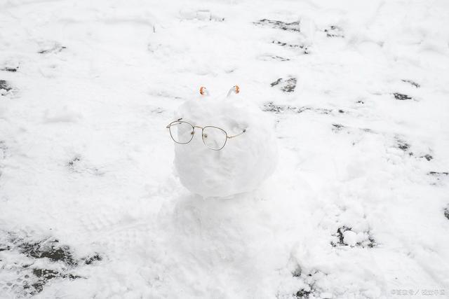 韦成柏$时逢小雪北风忽,旷野空山草萎枯。《小雪》诗词63首