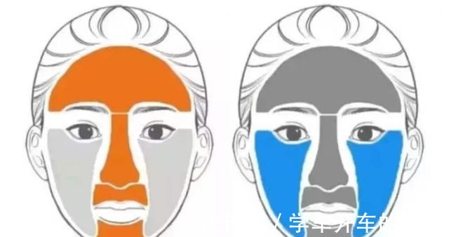 皮脂腺 油性肌肤如何护肤冬天就不需要保养护肤吗!