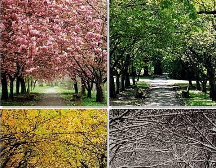 囚犯|古代死囚犯为什么秋后问斩,必须午时三刻背后原因让人毛骨悚然