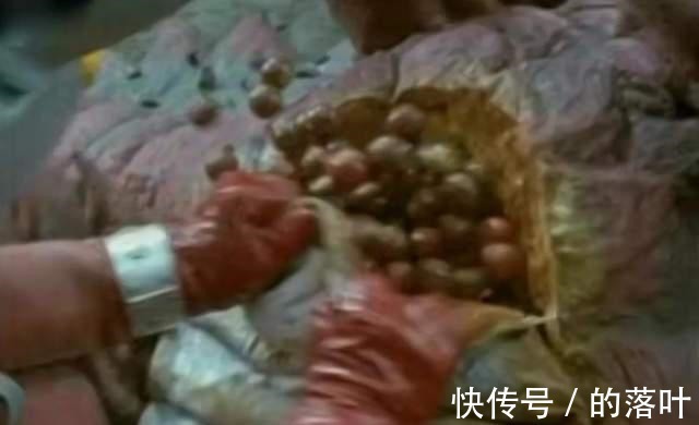 特摄剧|泰罗奥特曼里的悲剧时刻,怪兽破坏船只为生存,最后怪兽全家被吃