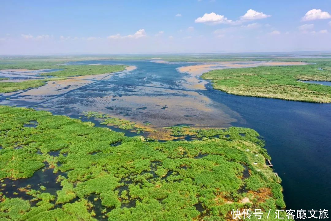 樟子松|这个夏天，我劝你一定要去一次内蒙古 ！