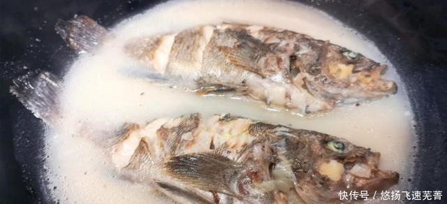 嫌弃|这鱼因长得丑被“嫌弃”，懂行的才会买，才8块钱1斤，比带鱼还鲜