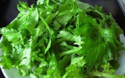 为何大家从来都不吃芹菜叶是太脏了,还是没营养告诉你原因