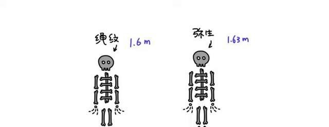  人类|日本古代神话懒人包，脱线的爱情故事以及日本人是怎么移居岛上的