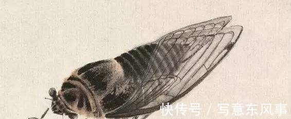 蝉#齐白石的《蝉》为何能拍出8亿天价放大40倍再看,细节决定一切!