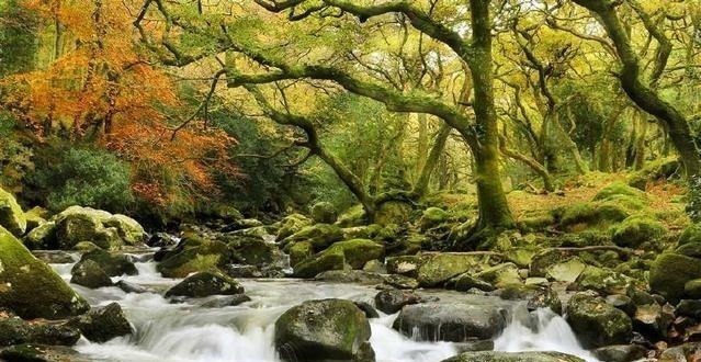 圣经#《圣经》世界发行量第一,位居第二是中国一本奇书,道尽天之枢机