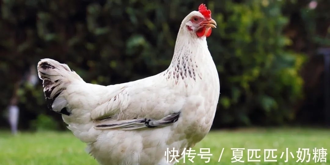 财运|2021下半年,走大运,意外财运天降,将更上一层楼的3个生肖