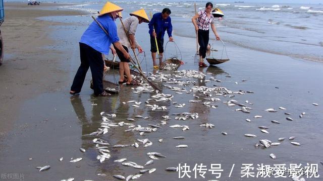 钓了一场鱼结果被判刑！钓友一脸问号？我是犯了什么罪？什么情况