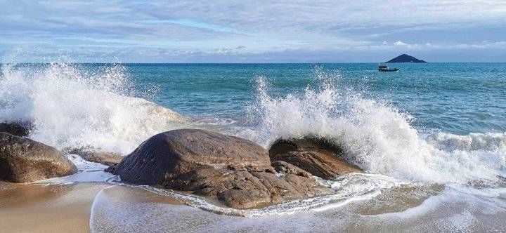 我从海上来，浪花满袖