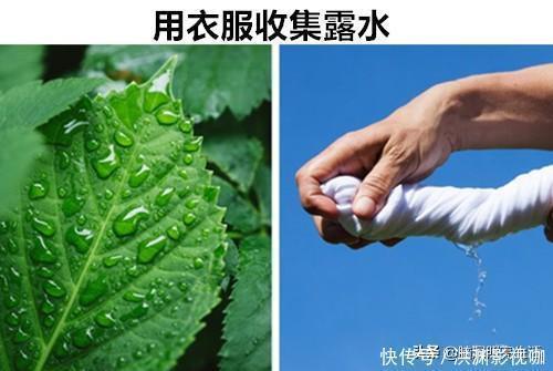 驱蚊剂|在千钧一发的危急时刻，可以拯救你生命的10个生存技巧